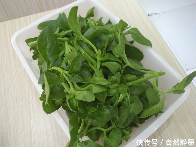 田七是常见的一种植物,河南农村妈妈告诉你,吃田七叶的好处