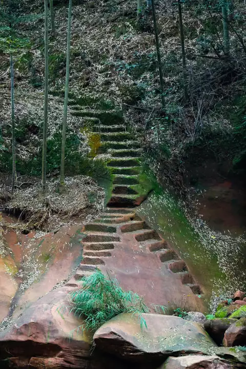 北纬28度，乌蒙有“黄金”