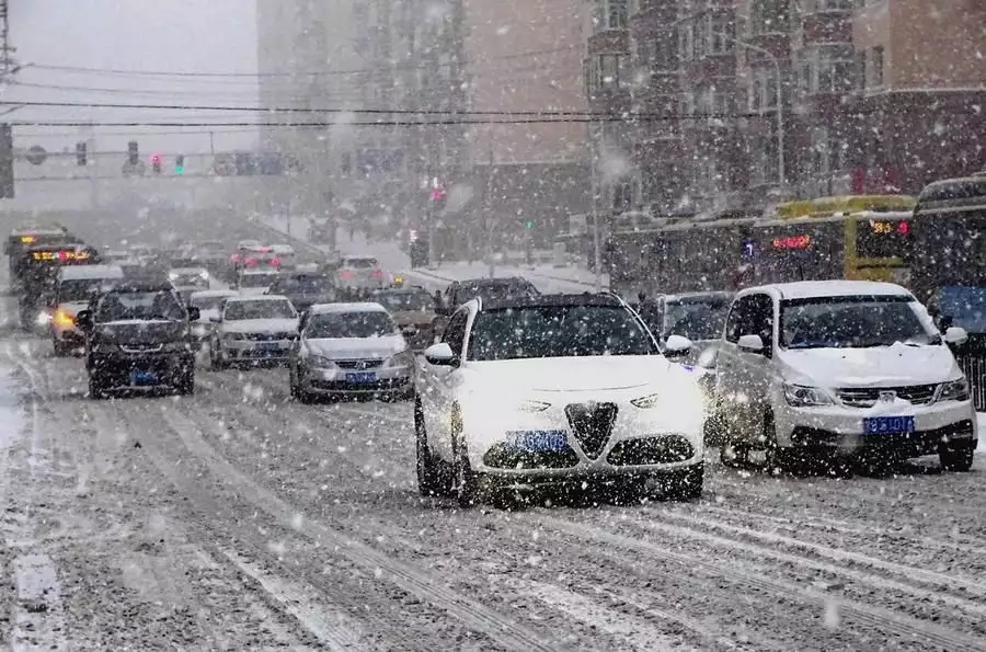 记者直击东北暴雪 因雪太大没去成（东北特大暴雪视频大全） 第6张