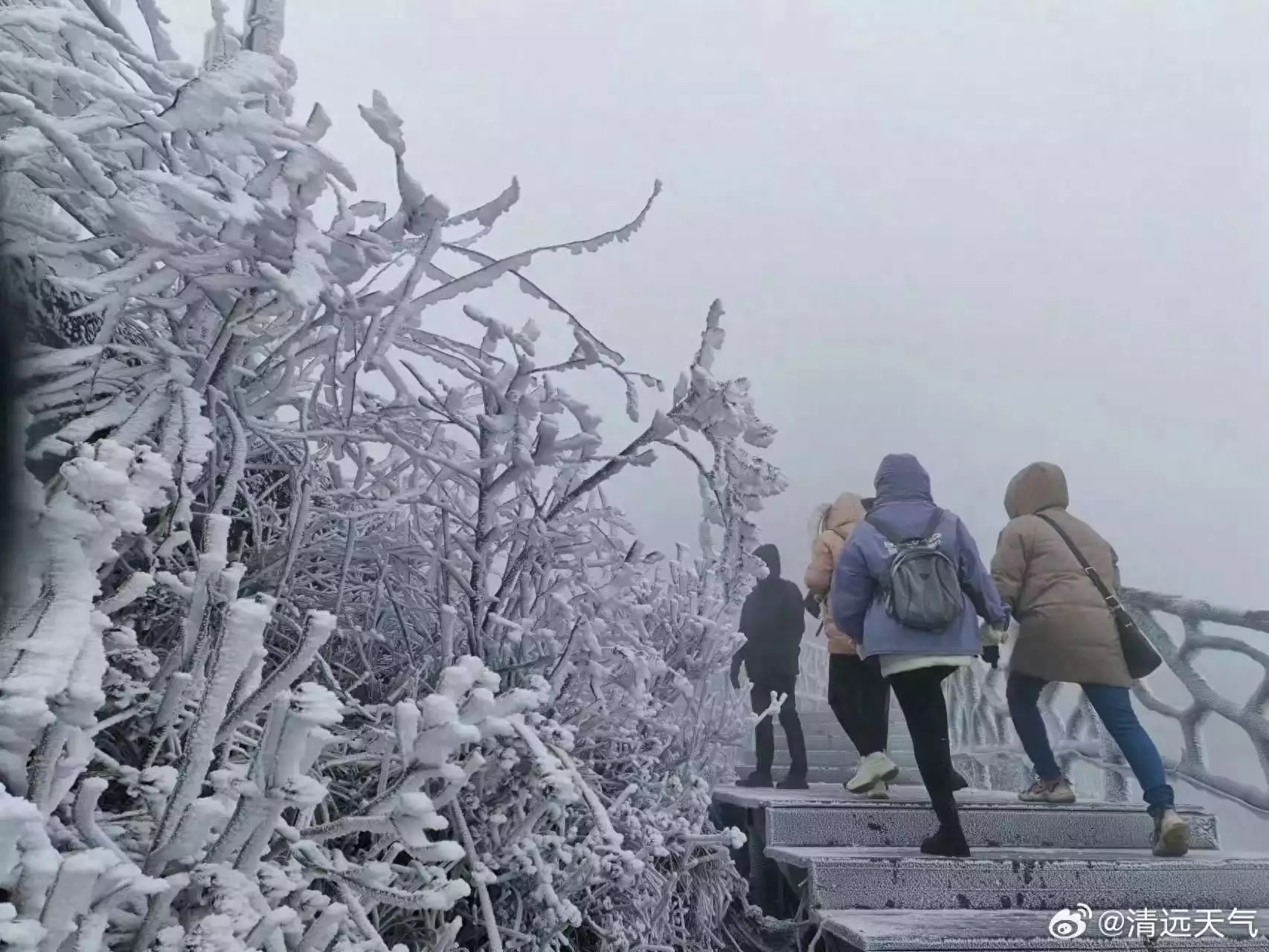 广州中午31℃下午发寒冷预警（广州室外温度多少） 第1张