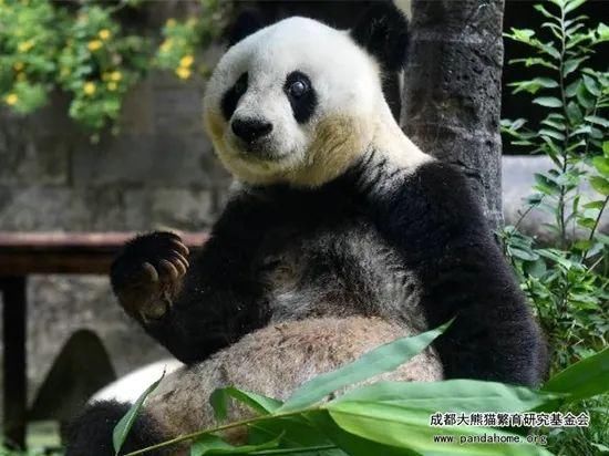 故事|出彩“滚滚” | 你有你的“三十而已”,我们的三十又是另一个故事~