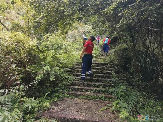  未归|女游客进温州景区未归，悬崖下找到尸体