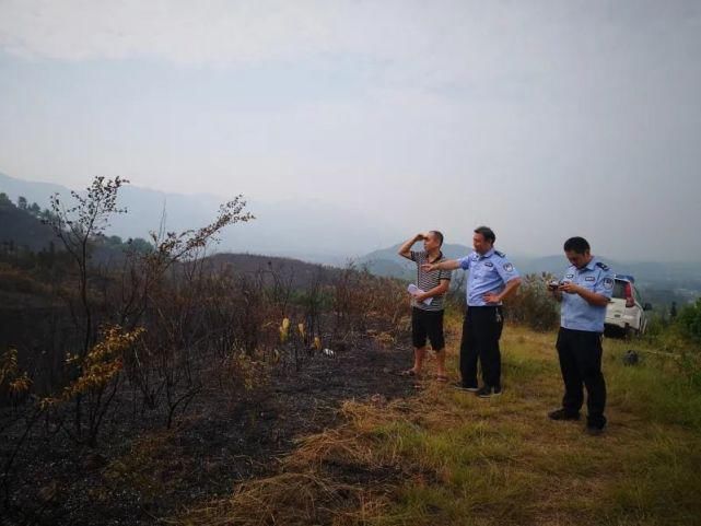 森林公安局|烧蜂子窝吃“美食”？牢饭等你来吃！