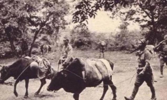 进村|真实的“鬼子进村”到底是啥样的?这些照片让无数国人落泪