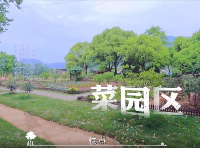  吴奇隆|吴奇隆综艺首秀住森林别墅，占地千平依山傍水，节目组真斥巨资了