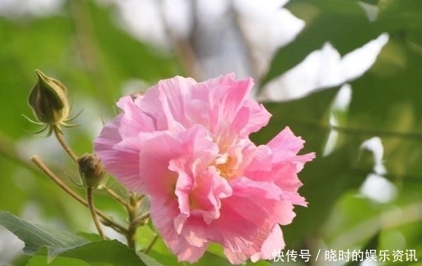 择一人深爱,等一人终老|诗词 | 深爱