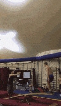 原则|房东能多没有原则?一张照片就妥协,不过是我也认了!哈哈哈