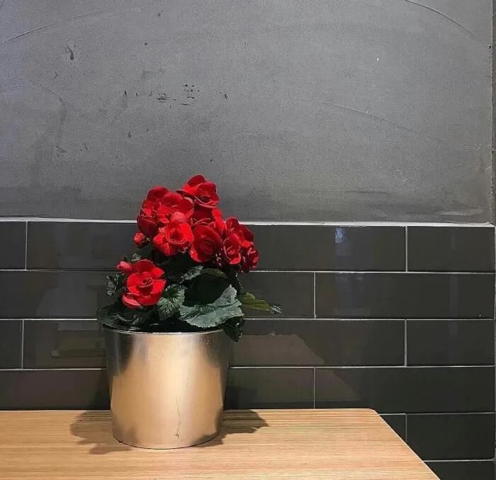  治愈|治愈系背景图：你知道我对你不仅仅是喜欢