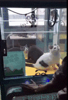 GIF|搞笑GIF：突如其来的骚，差点闪了我的腰