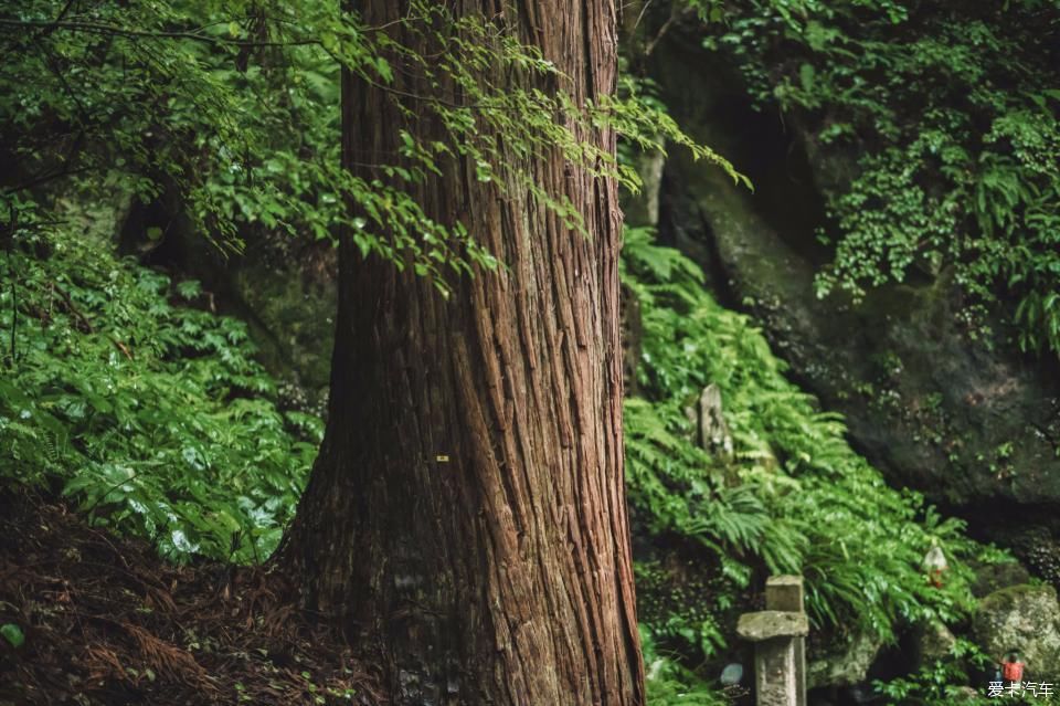 解锁|去鲁迅先生留学的仙台看一看——解锁日本小众目的地