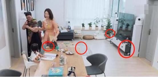  护栏|王祖蓝家的豪宅曝光，家具全做包角还能理解，厨房却设有护栏？