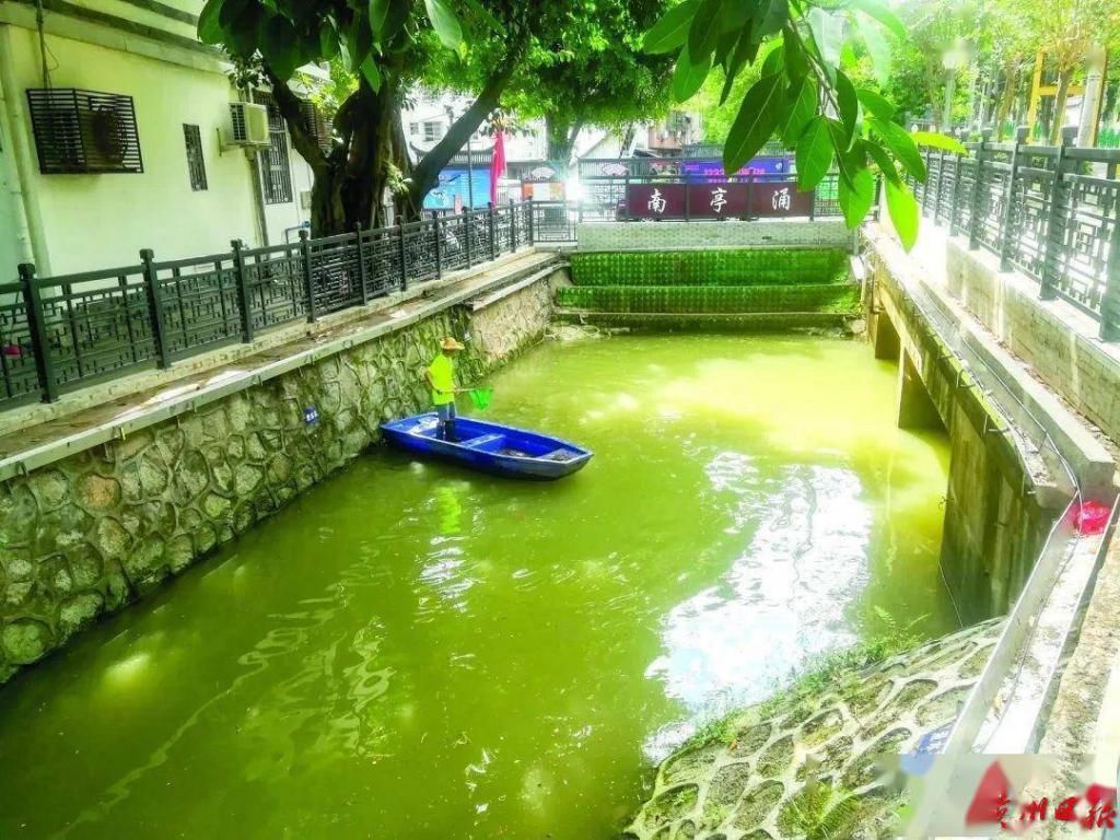  露出|大社涌露出了“清冽”的笑！