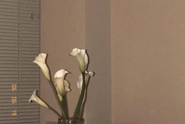  宿舍|“忍受了宿舍&合租生活后，我终于搬出来一个人住了”