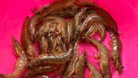  必吃|夏季我家必吃的消暑降火美食，三高肥胖人群放心吃，强烈建议收藏??