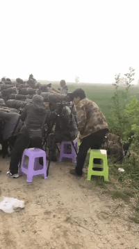 嫂子|搞笑GIF:大哥出差,嫂子让我去包饺子,我该带点什么呢