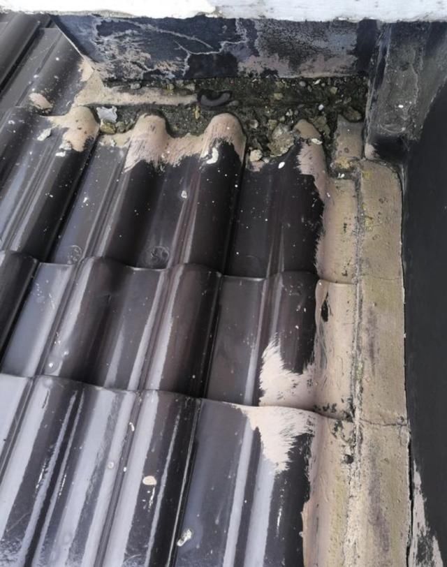  吴女士|漏！漏！漏！闵行新房报修三年多没修好，顶上竟长出青苔