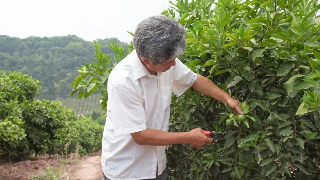  仁寿|仁寿有个村，名字叫“同意”！