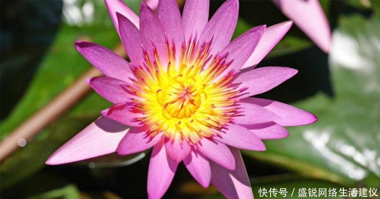  成就一番|最大气的3星座，有远见，有眼光，深谋远虑，能成大事