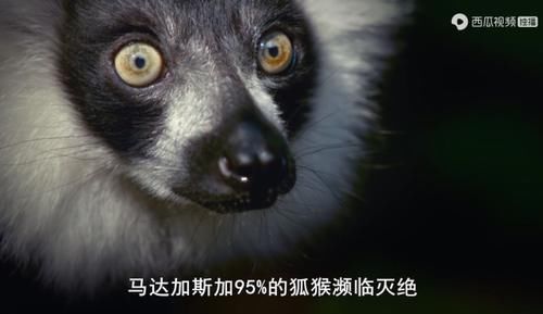  佳作|豆瓣预定超9分的佳作：原来我们错过许多惊喜，真遗憾没早点看到