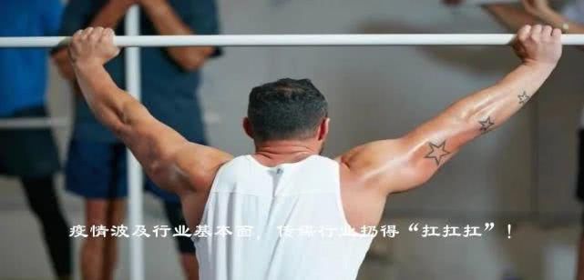  综艺|爆款与口碑，综艺市场被割裂的两极