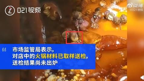 敲诈|世界冠军聚餐吃火锅吃出活虫，老板竟报警称其敲诈：太职业了！