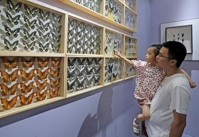  奇境|杭州虫生主题展 走进昆虫美丽奇境