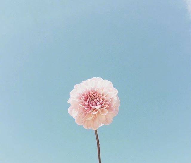  阳光|早安心语正能量阳光说说，开启元气满满的一天