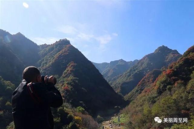  周至|周至有一种风景，叫青山红叶！