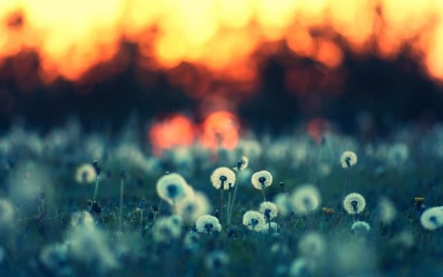 微笑|有些人，你再用心争取也会无缘，请微笑离开