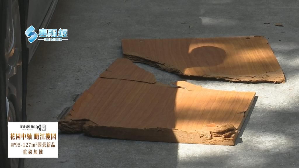  邻居|木板“从天而降” 砸坏挡风玻璃 邻居无人承认