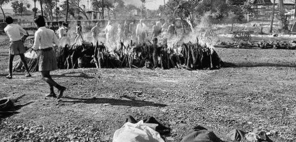  引发|一场因忽视安全隐患引发的事故，造成57万人死亡，20万人致残