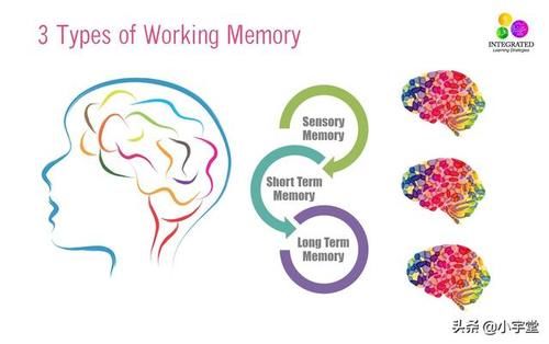 自由回忆|大脑是如何提取记忆的?