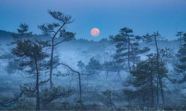 知君远近|欧阳修早期水平很高的一首词，通篇寥寥数语，感动了历代的读者