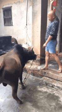 GIF|搞笑GIF:花手,谁敢来跟我比花手