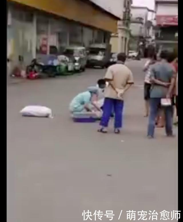  老人|老人被狗绳绊倒去世，12岁女孩遛狗是主因，我们还需要多少教训？