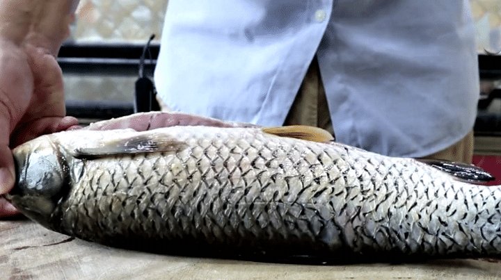  立秋|明日立秋，草鱼别再炸着吃了，试试此做法，鱼肉又香又嫩，特下饭