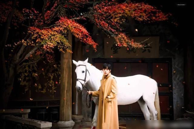  再度|肖战再度登央视，销量惊人，打脸黑粉