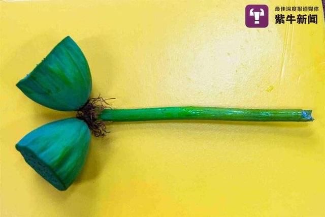 偷采|南京玄武湖“网红”并蒂莲蓬被偷采，男子被罚款200元