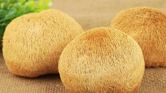  分布|它长这“球样”，却能给胃护航，前提：别怕麻烦自是不逊色于燕窝