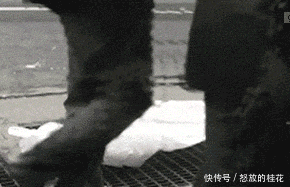 不服|搞笑GIF:我不服别的,就服这个演技