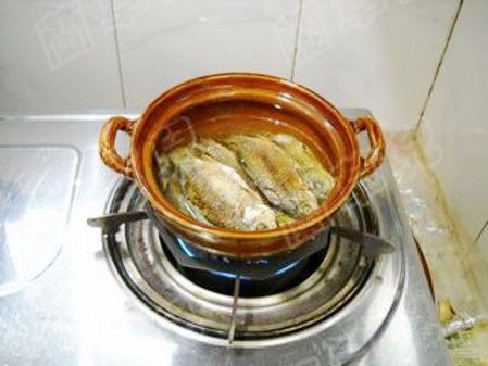  优质的鲫鱼|这种鱼5块钱一斤却没人要，其实营养非常丰富，炖一炖香极了