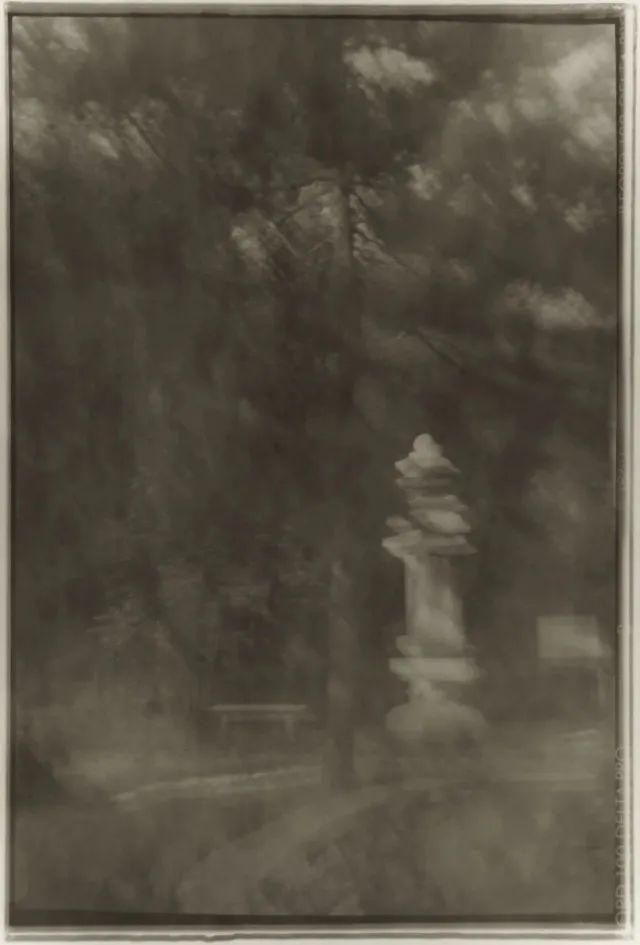  停用|摄影圈｜佳能宣布所有新产品停用两个术语 / 女摄影师凭水中拍鸟成北美打鸟第一人