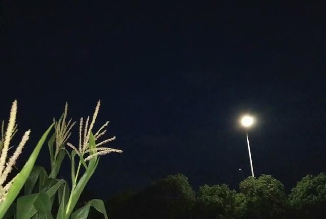 已婚|农村里的这种职业只有已婚女子做,以前很吃香,现在已没有人做了