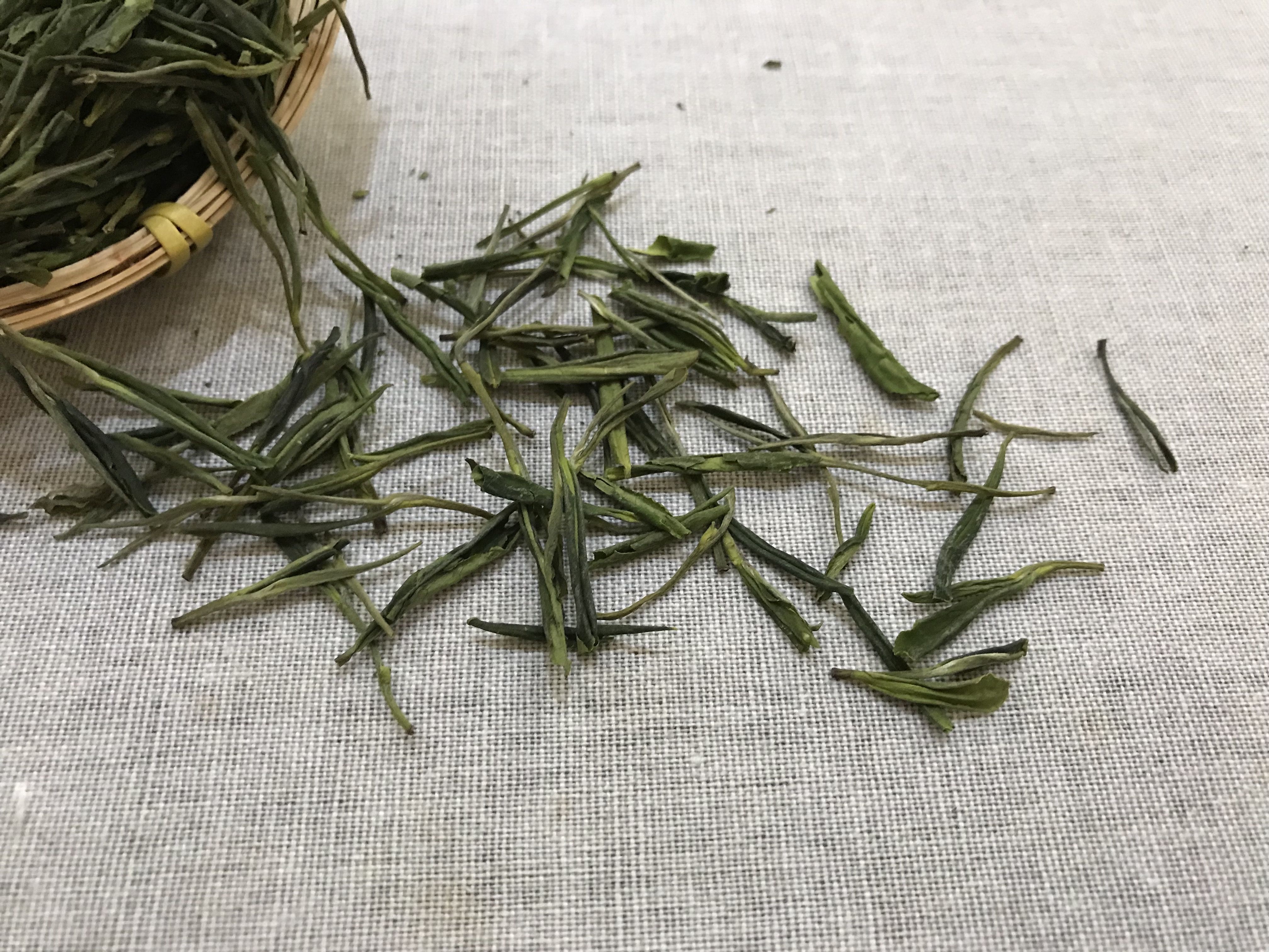 铁观音|铁观音是绿茶？安吉白茶是白茶？喝茶这么多年，可不能再认错了