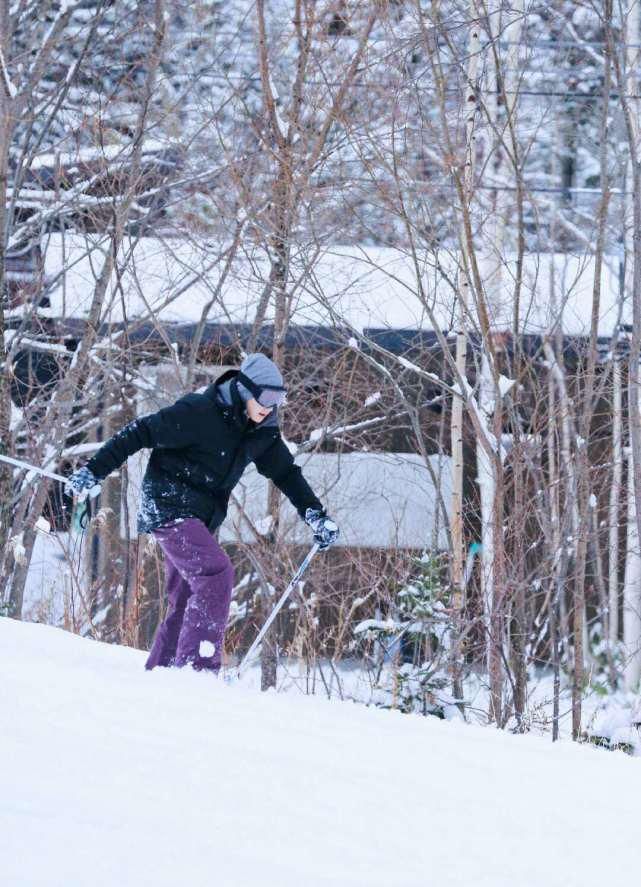  和我的家乡|没等来王俊凯杨紫《我的家乡》，王源新综艺来袭，嘉宾阵容厉害了