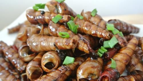 黄瓜|美食推荐:酱爆钉螺,干贝玉米汤,五味黄瓜,干煸藕条