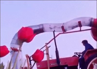 世界|德国凭这几张照片，再次震撼世界！太牛了