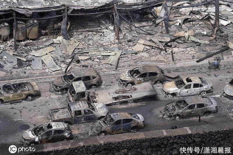 夏威夷山火已致67人遇难，官员称汽车被烤化：现场如“战区”