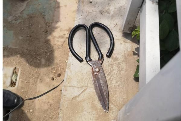 宛城法院|河南南阳:严重妨碍执行干警执行公务 写悔过书道歉