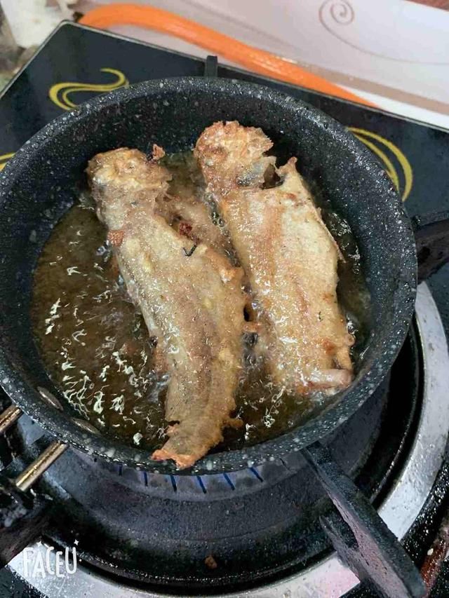  为新鲜|被“误解”最深的一种鱼，6元一斤没人买，比带鱼营养，比鲫鱼香